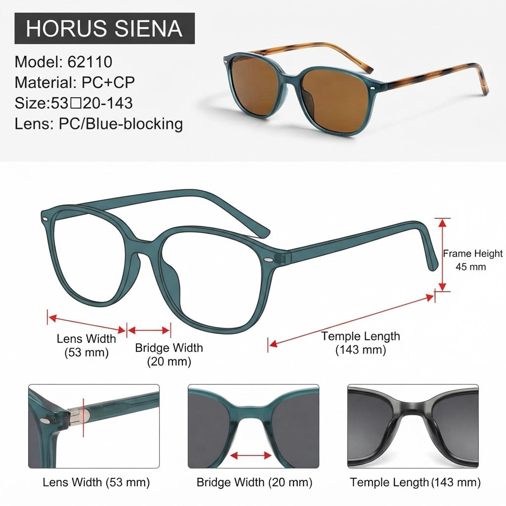 SIENA - H263