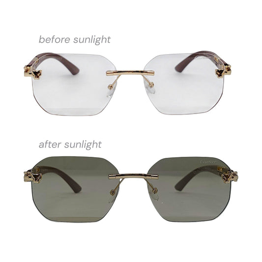 nadaraty eyewear Photocromic ctr 01 rimless octagonal sunglasses with gold accents and brown temples, changing from clear to grey