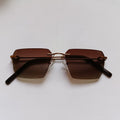 Ctr ziues brown