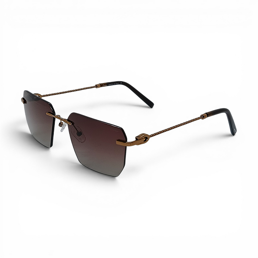 Ctr ziues brown