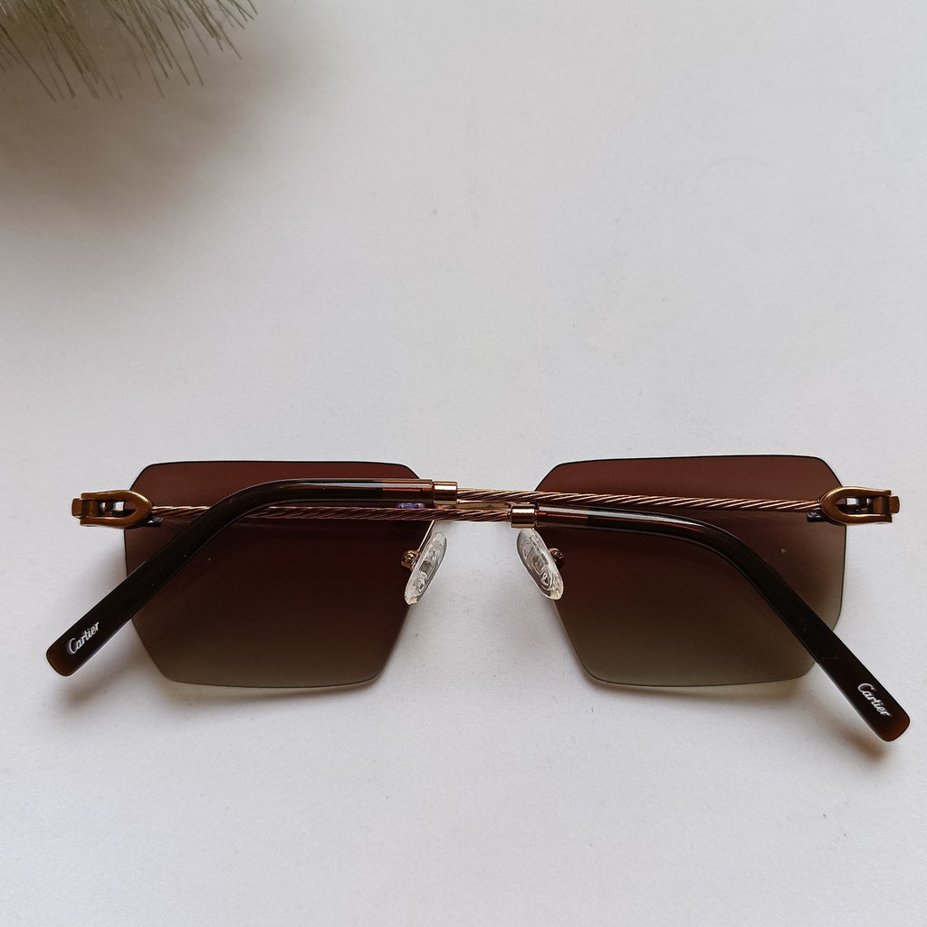 Ctr ziues brown