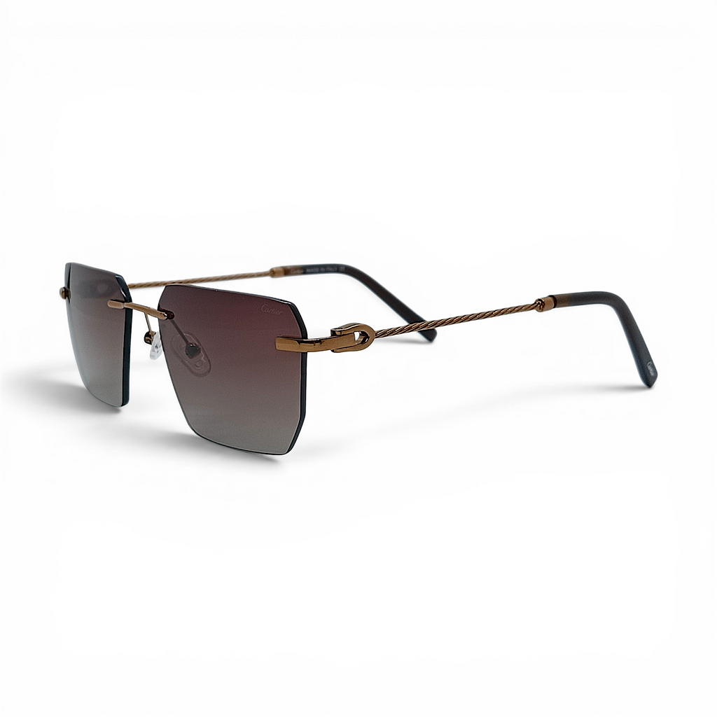 Ctr ziues brown